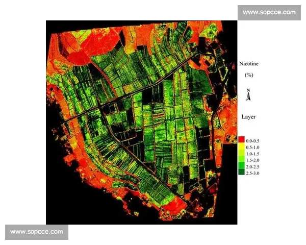 基于多维指标分析的篮球比赛数据对比方法研究与应用探索实践创新路径 基于多维指标分析的篮球比赛数据对比方法研究与应用探索实践创新路径